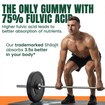 10-IN-1 Alpha Shilajit Gummies